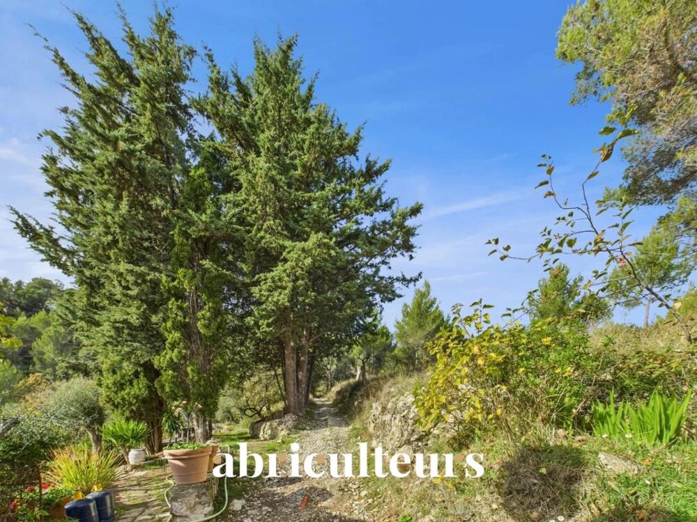 à vendre  Maison 