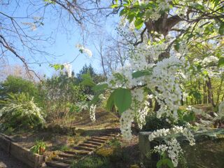  Maison � vendre 12 pi�ces 345 m�