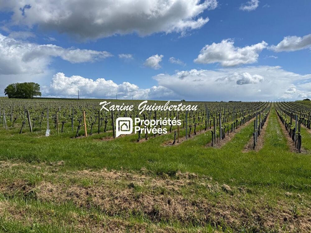 Vente Terrain Terrain constructible 1077 m2 - Lussac Lussac
