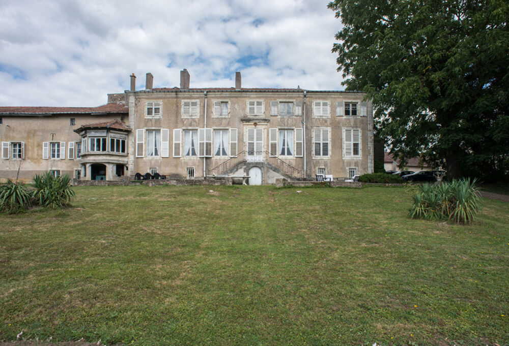 Vente Propriété/Château DOMAINE DE 23 PIECES ET 655 M² Vittonville