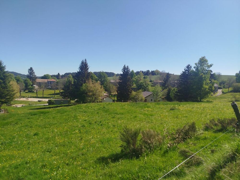 Vente Terrain Terrain Constructible Chaudeyrac 6438m² Chaudeyrac