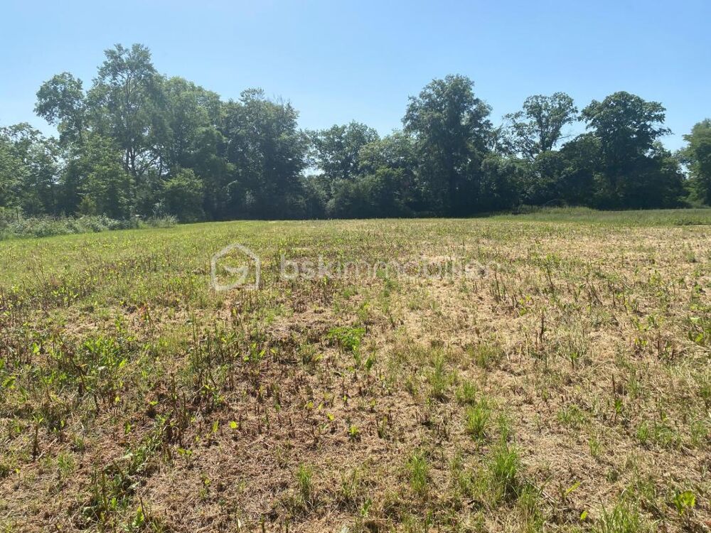 Vente Terrain A saisir Terrain Constructible de 3211 m² Neuville sur brenne