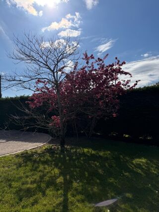  Maison � vendre 4 pi�ces 110 m�