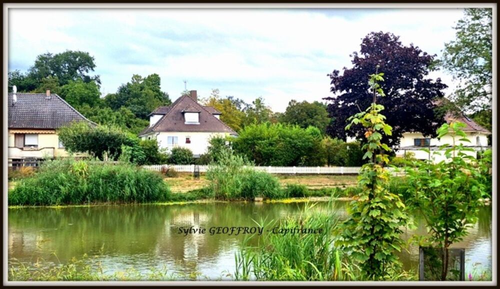 Vente Maison Maison à vendre 7 pièces ICHTRATZHEIM (67) Ichtratzheim