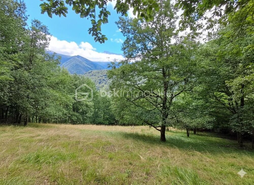 Vente Remise/Grange L'authenticité et le rêve: la grange de Jean-Pierre - Un hectare de nature en montagne Antras
