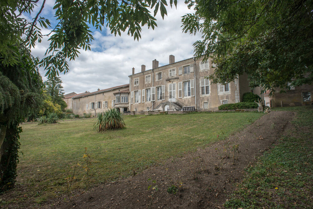 Vente Propriété/Château DOMAINE DE 23 PIECES ET 655 M² Vittonville