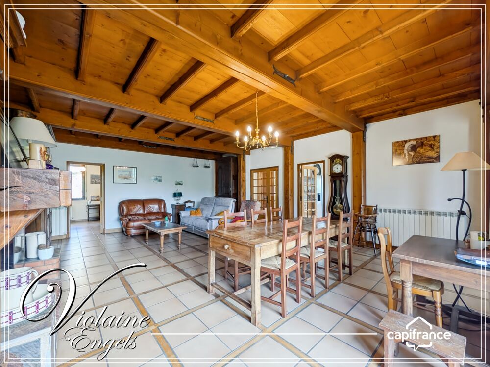 Grande maison familiale avec dépendances, piscine et vaste atelier à Pépieux (Aude  Minervois)