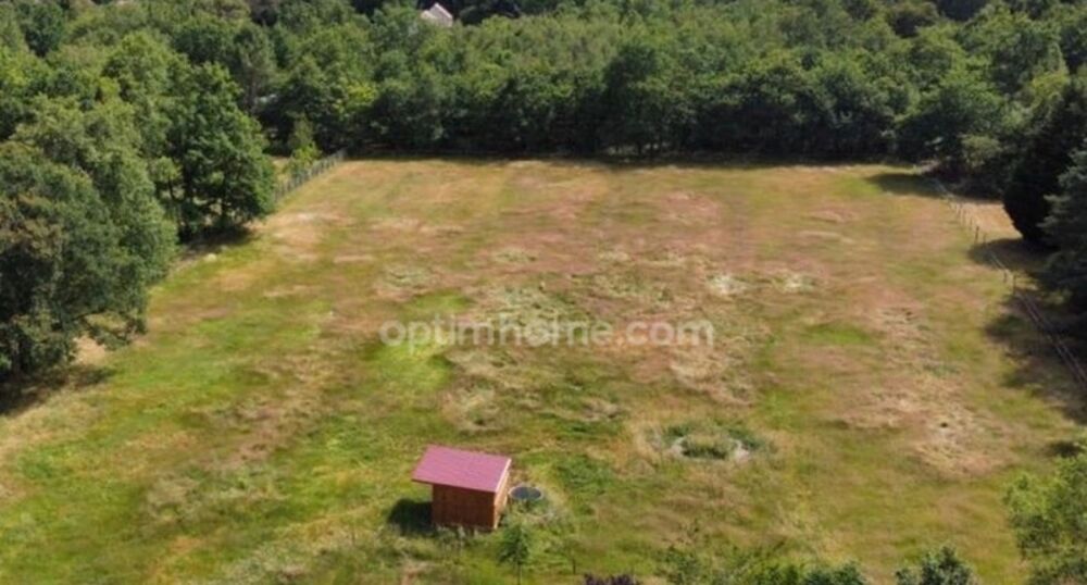 Vente Terrain Terrain à vendre de 8 500,00 m² VILLEFRANCHE SUR CHER 41 dans un environnement très calme et verdoyant Villefranche sur cher