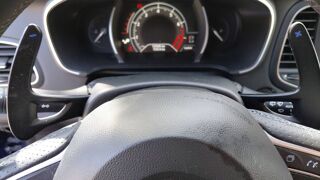 M&eacute;gane IV 1.6 TCe 205 Energy EDC GT 2016 occasion 05240 La Salle Les Alpes