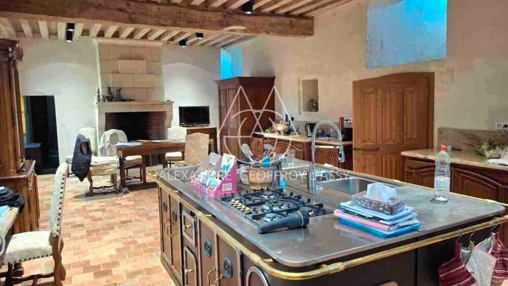 à vendre  Propriété/château Le Blanc (36300)