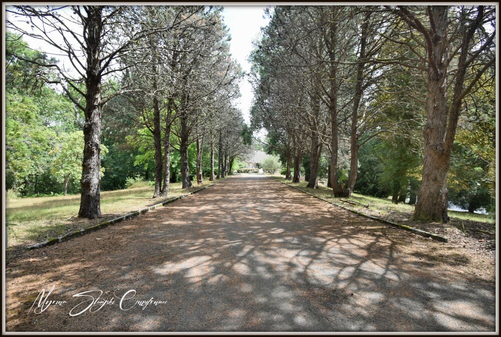 Vente Propriété/Château Propriete à vendre 8 pièces  de 350 m² environ à MIMIZAN (40) avec lac privatif, cadre exceptionnel Mimizan