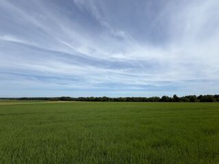  Terrain à vendre 654 m²