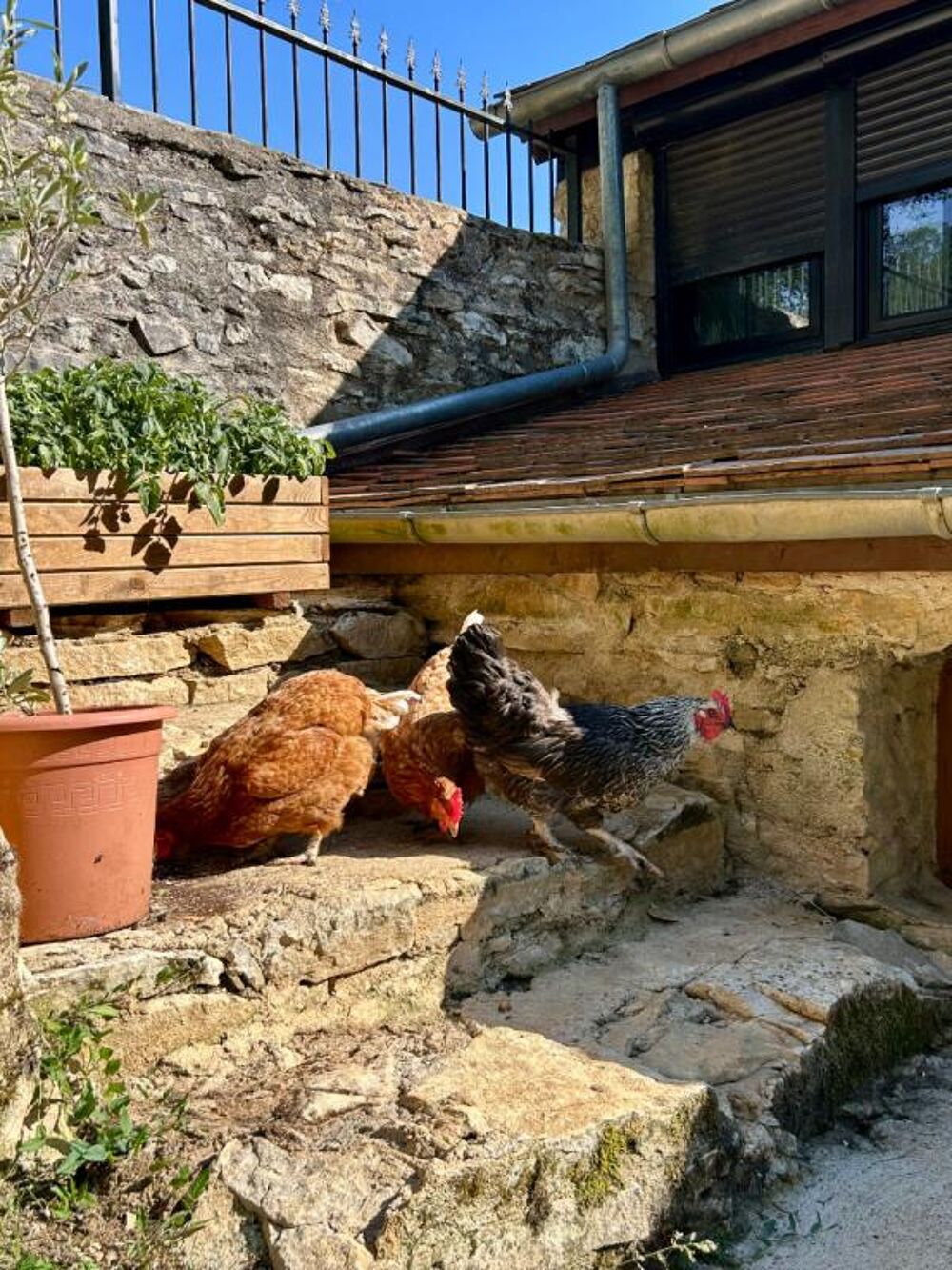 A vendre, en exclusivité, superbe périgourdine en pierre au coeur du Périgord vert