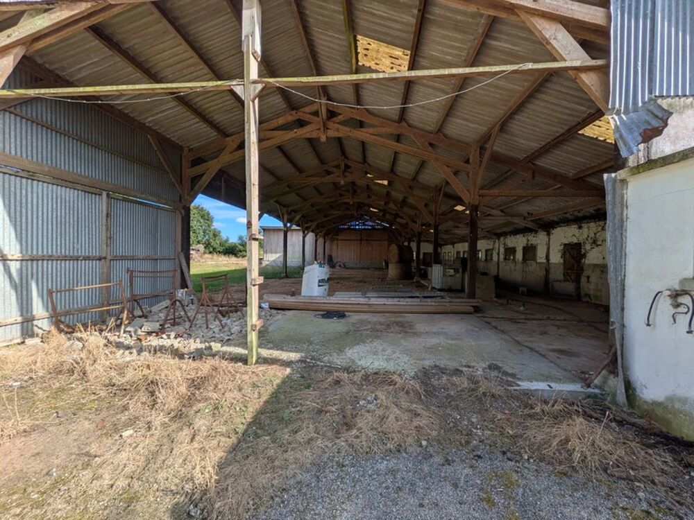 Vente Autre HANGAR DE 416M² ENVIRON ET ATELIERS DE 103M² ENVIRON PARCELLE DE 2800 m² ENVIRON Seglien