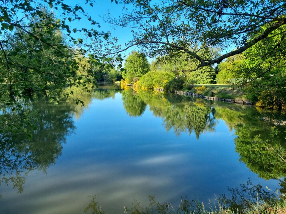 MAISON TRADITIONNELLE et UN TRES BEL ETANG de plus de 4000m²