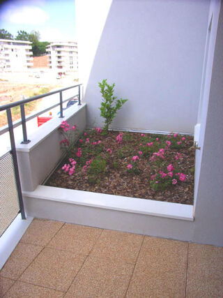  Appartement à louer 2 pièces 36 m²