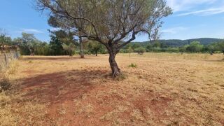  Terrain à vendre 3625 m²