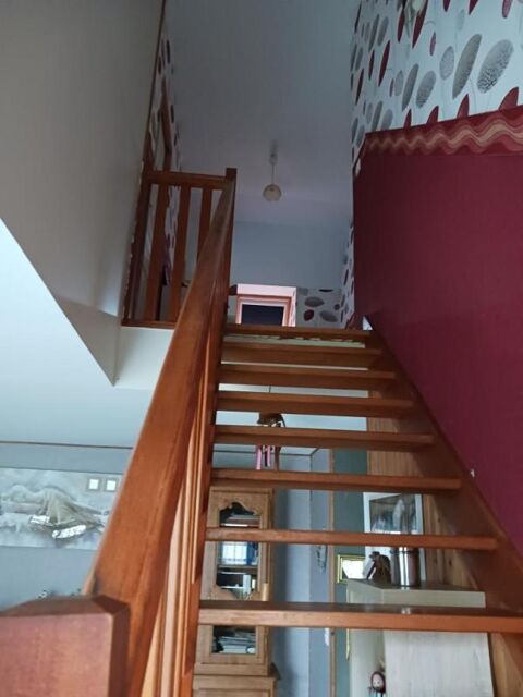  Appartement � louer 1 pi�ce 12 m�