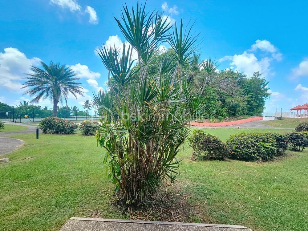 Vente Appartement Studio Anse des Rochers Saint francois