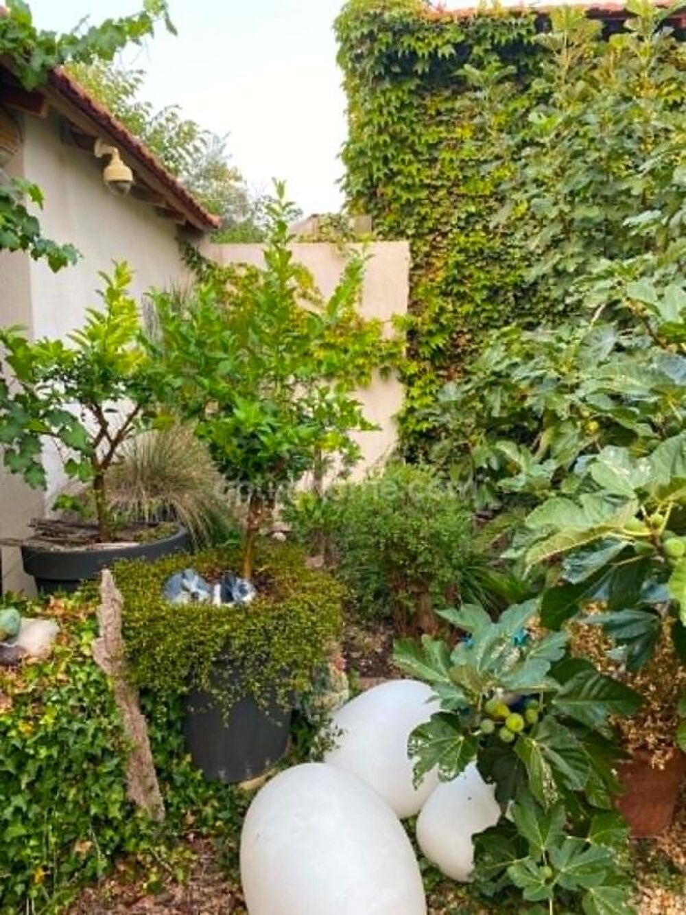 Vente Maison Maison de village à Eygalières Eygalieres