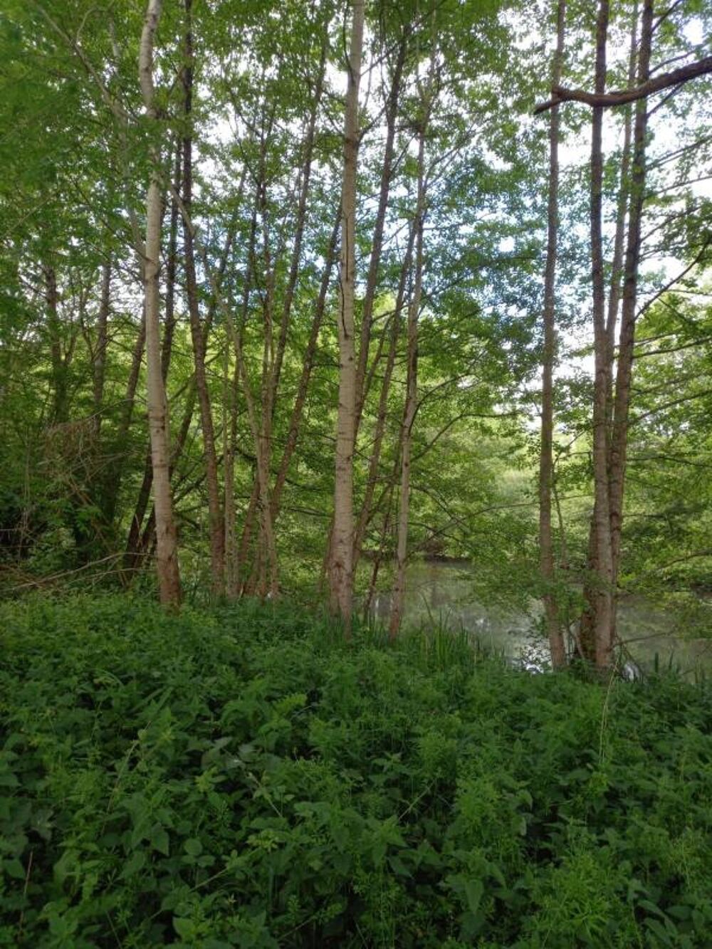 Vente Terrain Terrain à vendre de 405,00 m² COURTEMAUX (45) Courtemaux