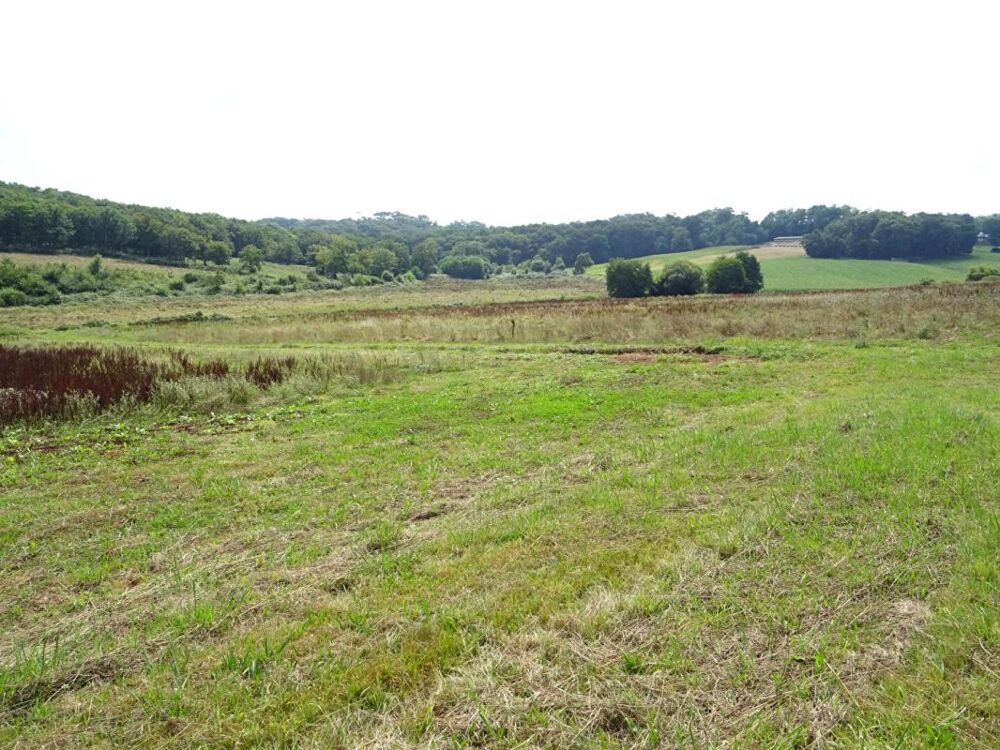 Vente Maison Landes 40700 Sainte-Colombe, corps de ferme avec 21ha 50a de terres Sainte colombe