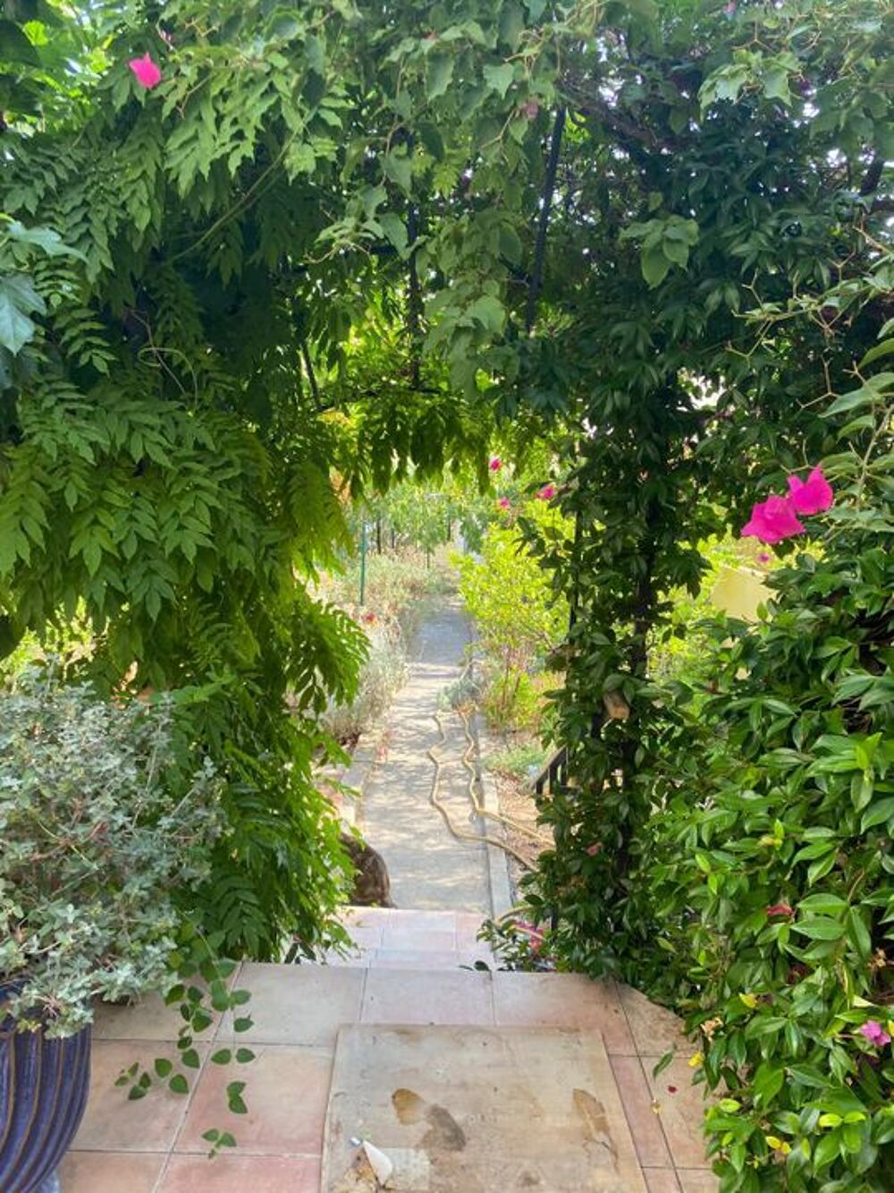 Location Appartement Appartement de 33m2 à louer sur Toulon Toulon