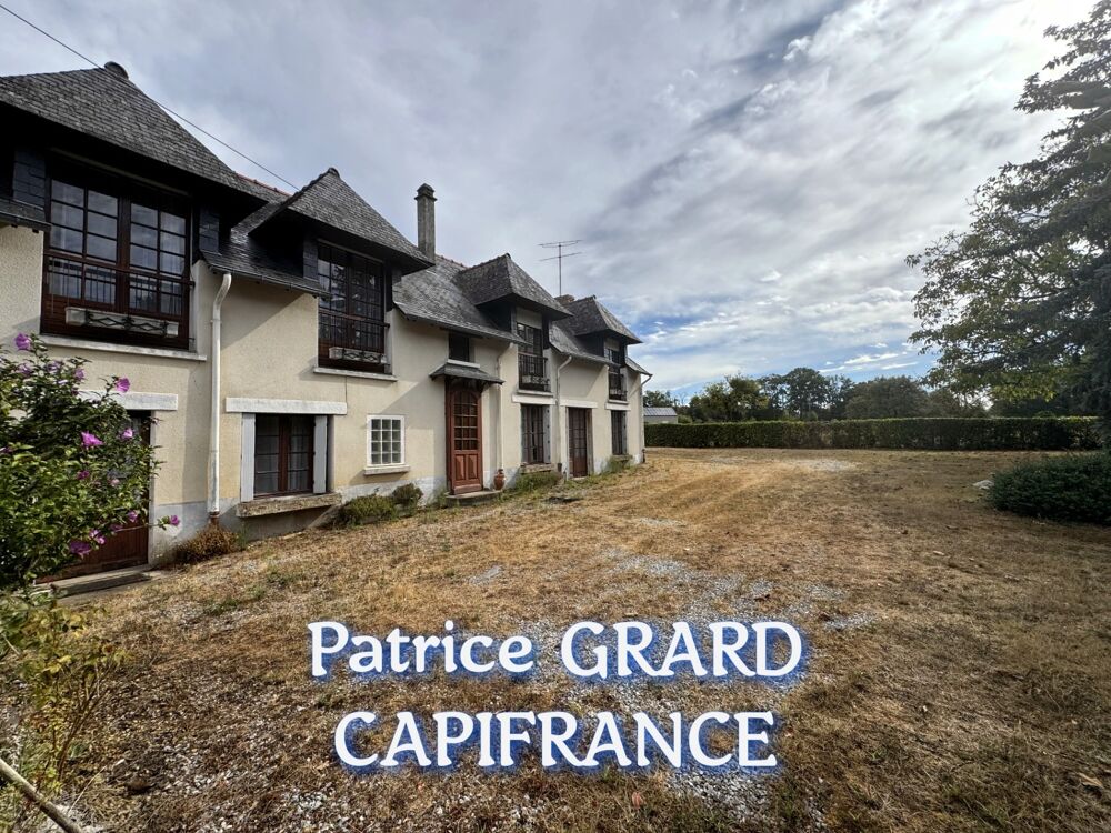 Vente Maison Maison à vendre 11 pièces  (35) Sainte anne sur vilaine