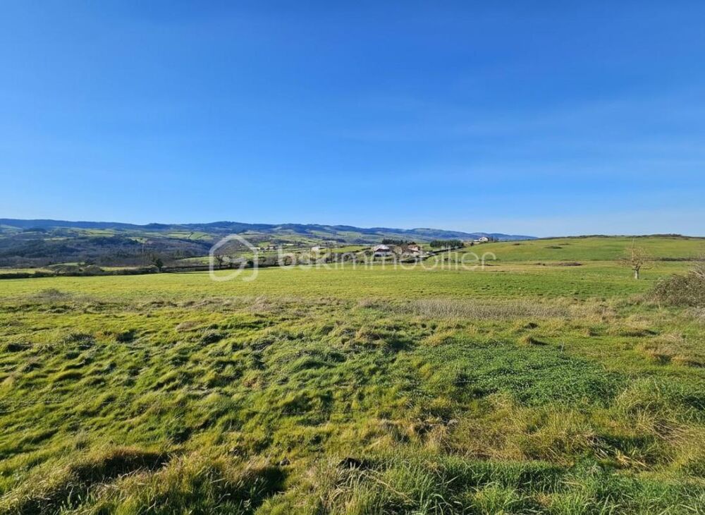 CORPS DE FERME + 4,7 HA  GROS POTENTIEL  PRIX EN BAISSE  Vue exceptionnelle  Proximité Roanne