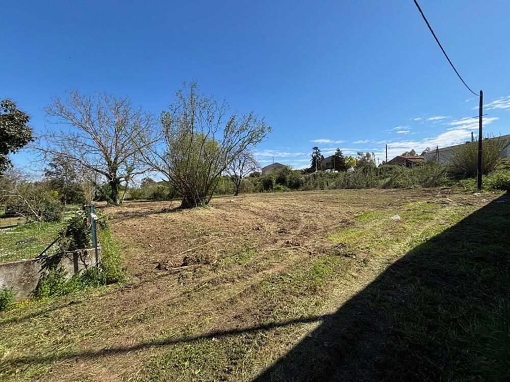 Vente Terrain TERRAIN 2700 m² NON CONSTRUCTIBLE ZONE N  EN BORD DE ROUTE Venzolasca