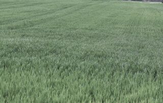  Terrain  vendre 25445 m