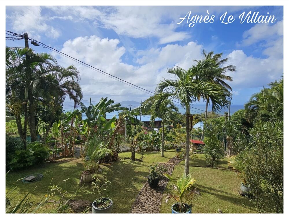 Vente Maison Villa Vue Sur Les Saintes + Appartement Trois rivieres