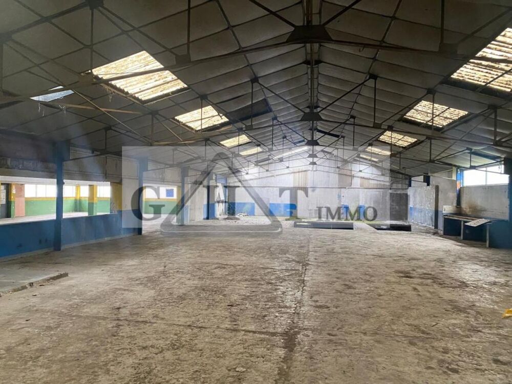   IMMEUBLE D ACTIVITE 3420M2 A VENDRE CORBEIL ESSONNES 