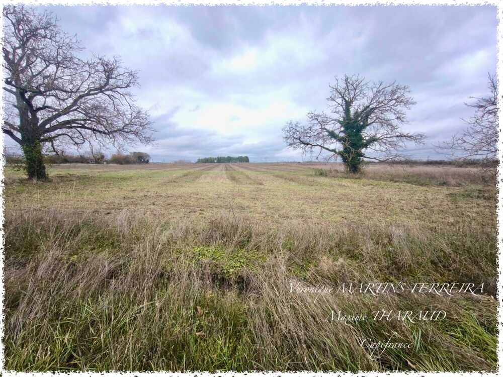 Vente Terrain ? Terrain 760 m² – Marmagne (18500) Marmagne