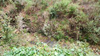  Terrain  vendre 41460 m