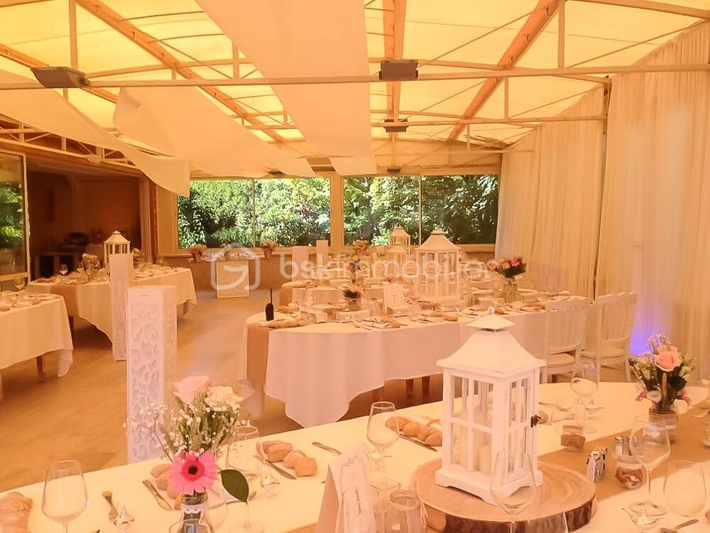  vendre  Proprit/chteau Savigneux (01480)