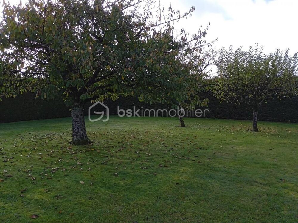 Vente Terrain beau terrain constructible à Monnaie Monnaie