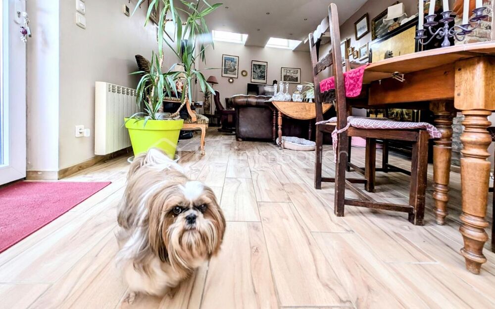 Maison en pierre de ville avec cour !