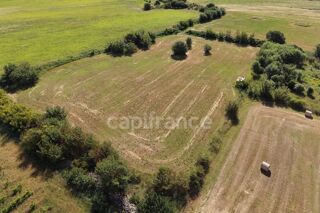  Terrain à vendre 12000 m²