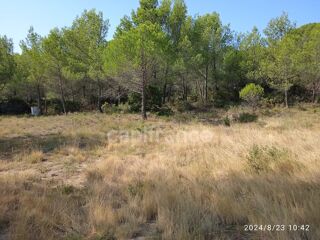  Terrain à vendre 30000 m²