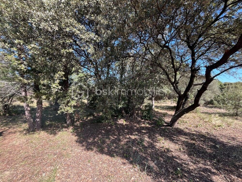 Vente Terrain Terrain constructible Vue dominante Saze