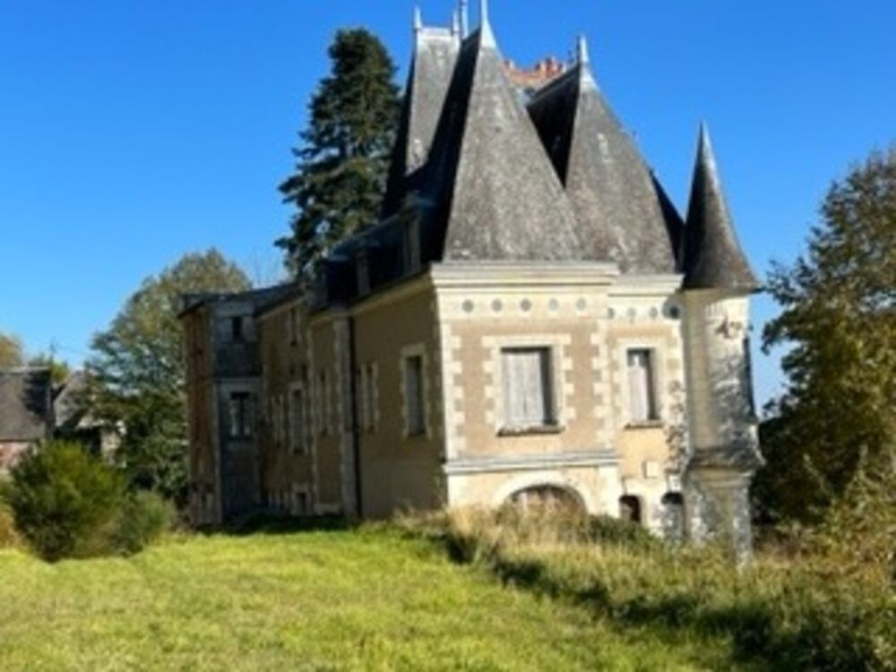 Sublime château édifié au XVI°et remanié au XIX° surblomblant la vallée de la Loire entre Amboise et Tours