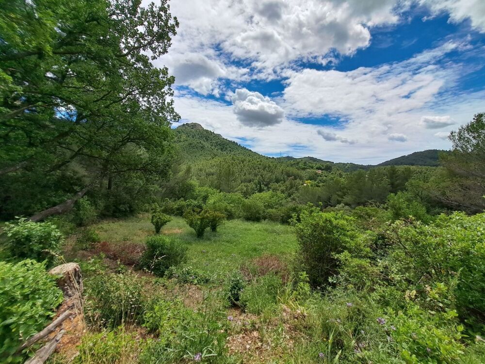 Vente Maison Maison à vendre 6 pièces AURIOL (13) au calme absolu / 22905m²  en Zone Naturelle (NS) Auriol