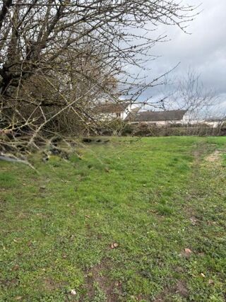  Terrain à vendre 740 m²