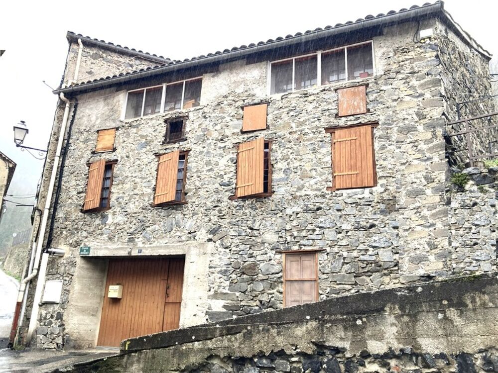Maison de caractère à vendre MONTFORT SUR BOULZANE (11)