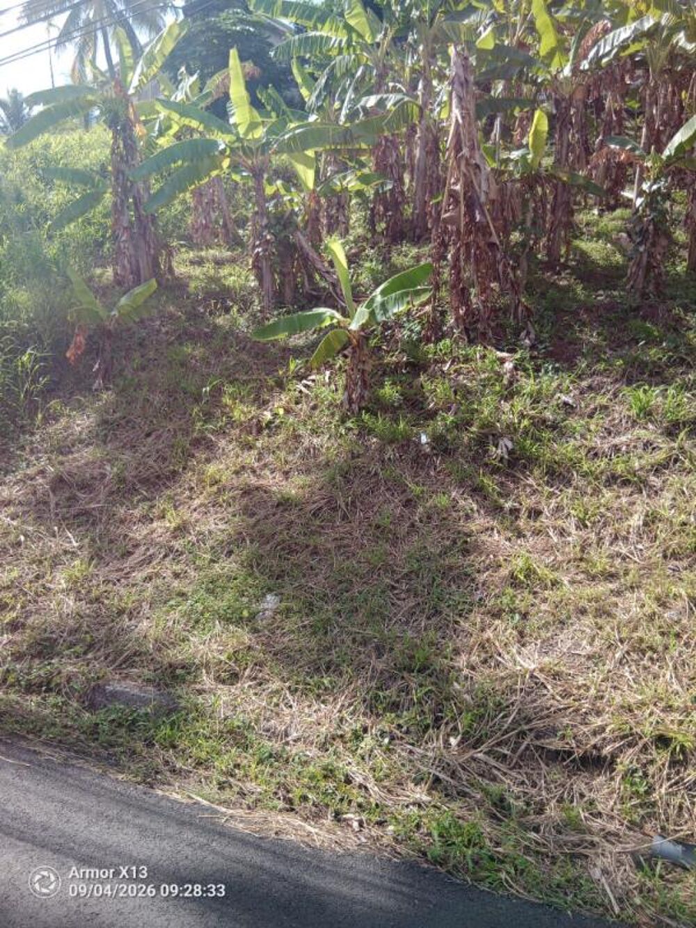 Vente Terrain Terrain de 689 m 2 a vendre au francois Le francois