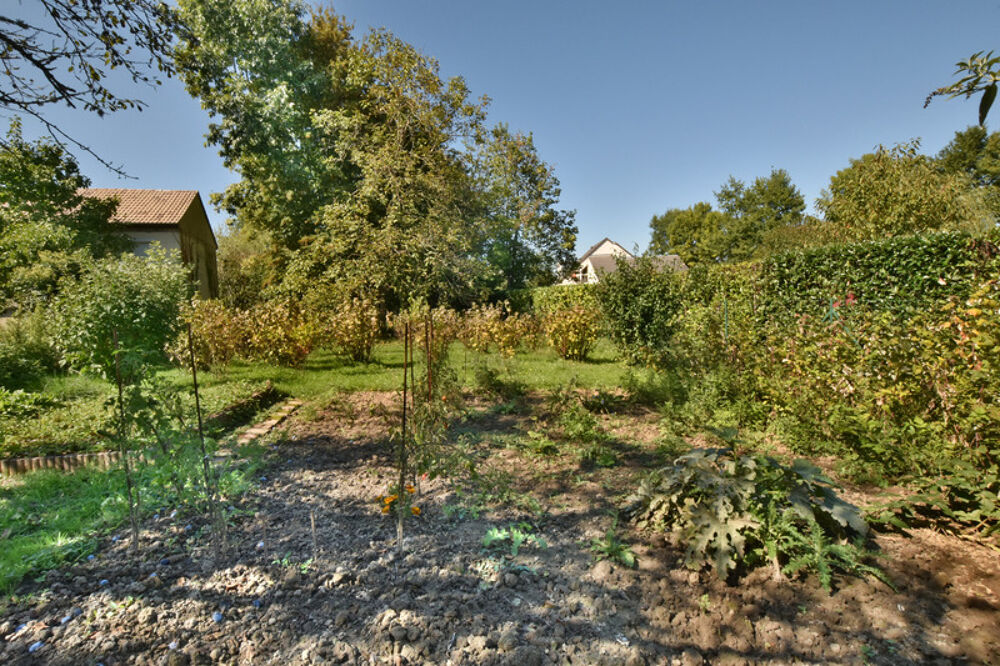 Maison ancienne 4 pièces avec terrain arboré de 1 907 m² à Auvillars-sur-Saône