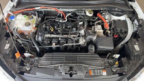Kuga 2.5 Duratec 180 Flexifuel FHEV Powerwhift 8 Titanium Busines 2024 occasion 40990 Mees