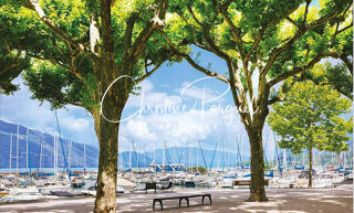  Appartement � vendre 3 pi�ces 78 m�