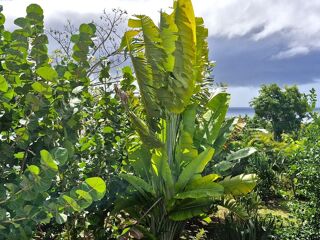  Maison � vendre 6 pi�ces 160 m�